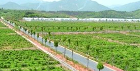 農村綜合整理方面